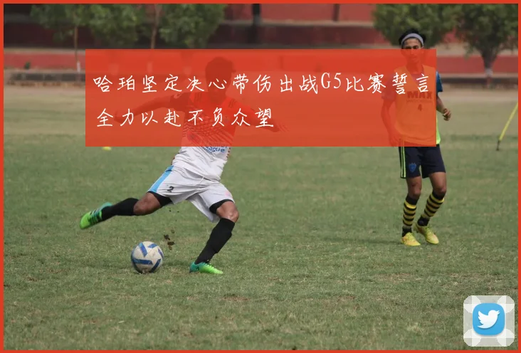 哈珀坚定决心带伤出战G5比赛誓言全力以赴不负众望